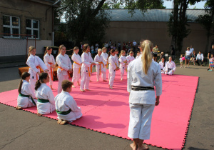 pokaz karate